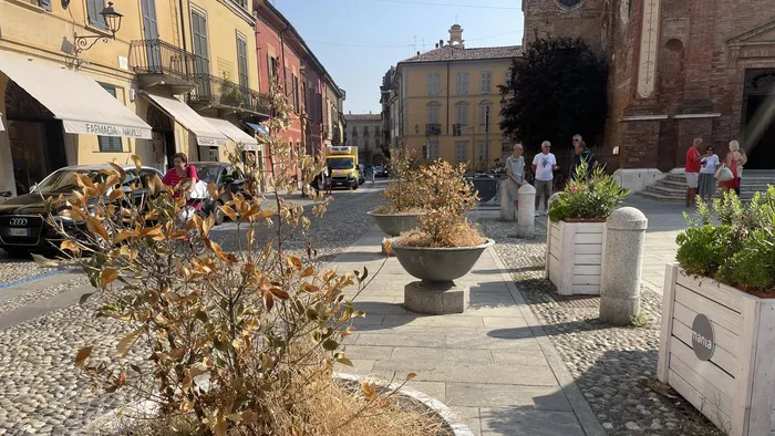 Codogno, piante morte di sete in centro storico