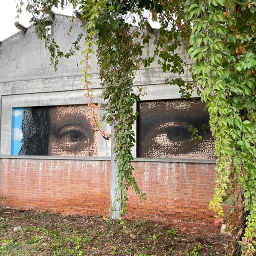 A Codogno la fantasia della street art invade la città - Cronaca