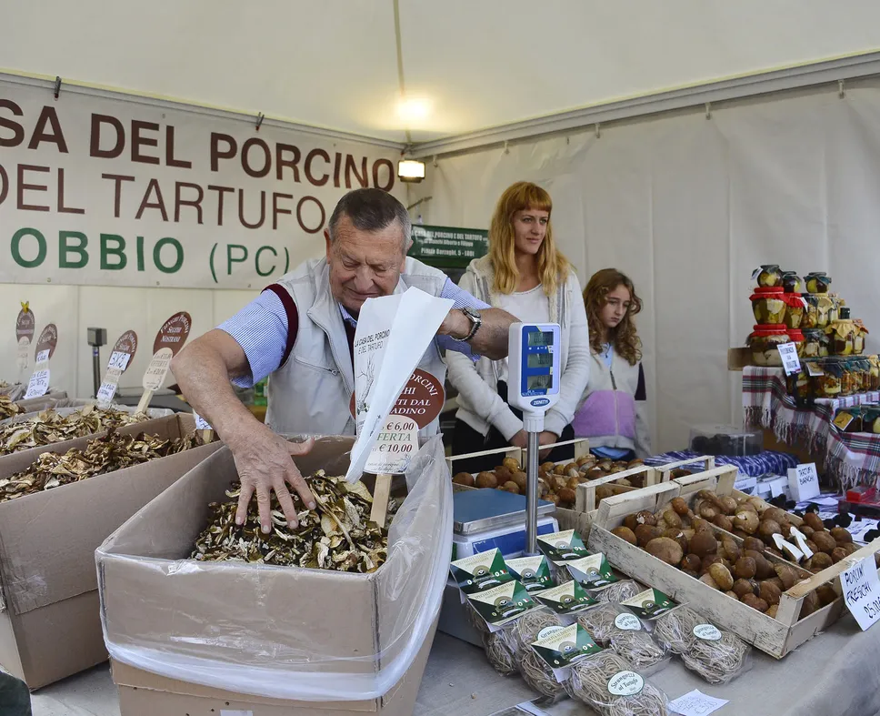 Le Forme del Gusto