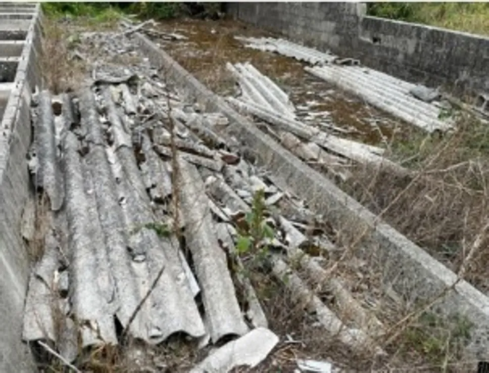 Il sito di Cascina Belfuggito