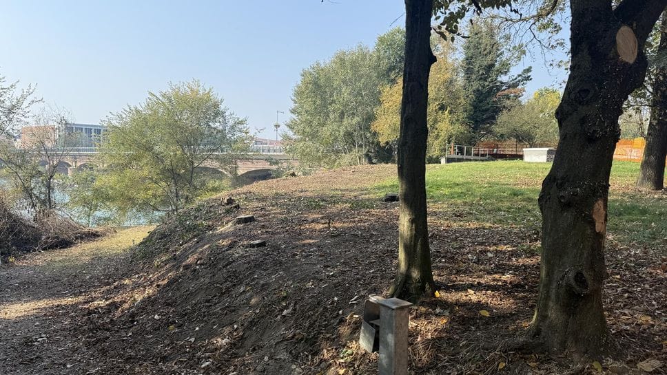 Il disboscamento lungo il fiume al Revellino Il disboscamento lungo il fiume al Revellino