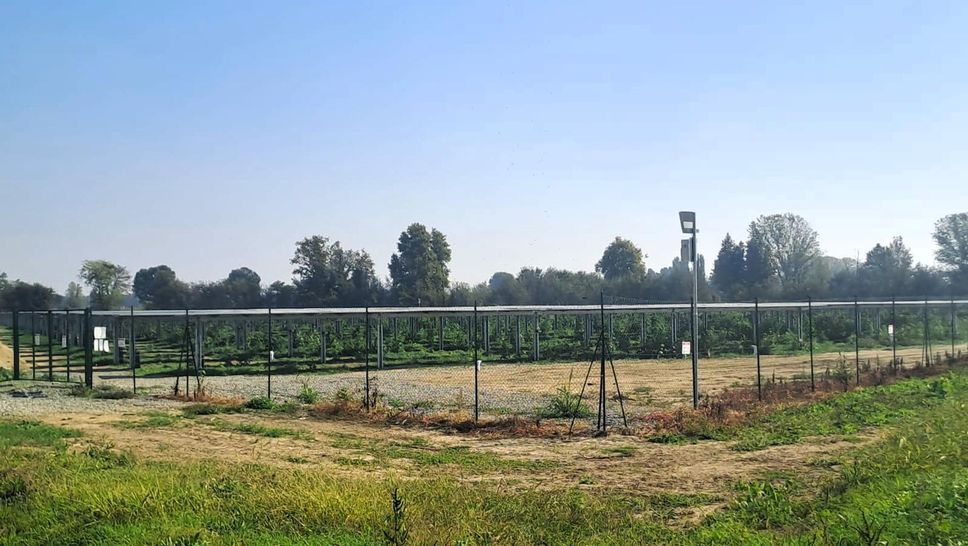 La distesa di pannelli visibile dalla provinciale 235 La distesa di pannelli visibile dalla provinciale 235
