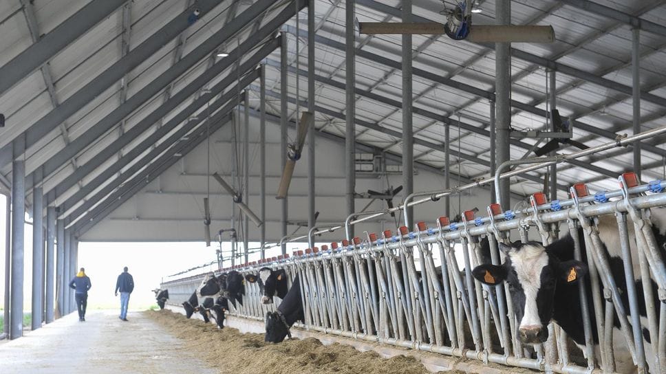 Un’azienda agricola del Lodigiano Un’azienda agricola del Lodigiano