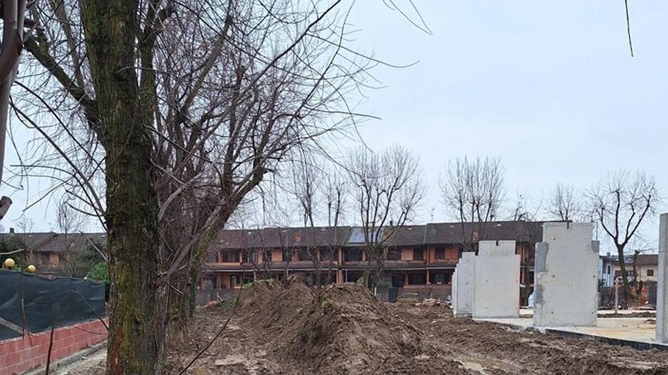 Il Comune taglierà 45 alberi nel giardino della scuola Il Comune taglierà 45 alberi nel giardino della scuola