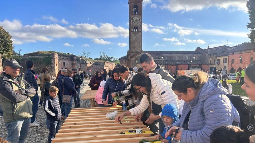 La gara di lumache a Pizzighettone La gara di lumache a Pizzighettone