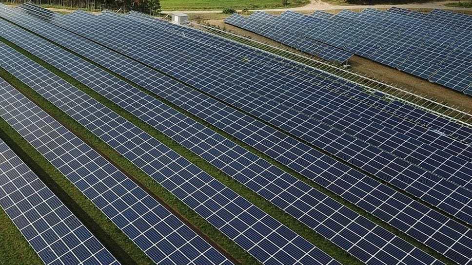 A Graffignana il progetto prevede una superficie recintata di 30 ettari