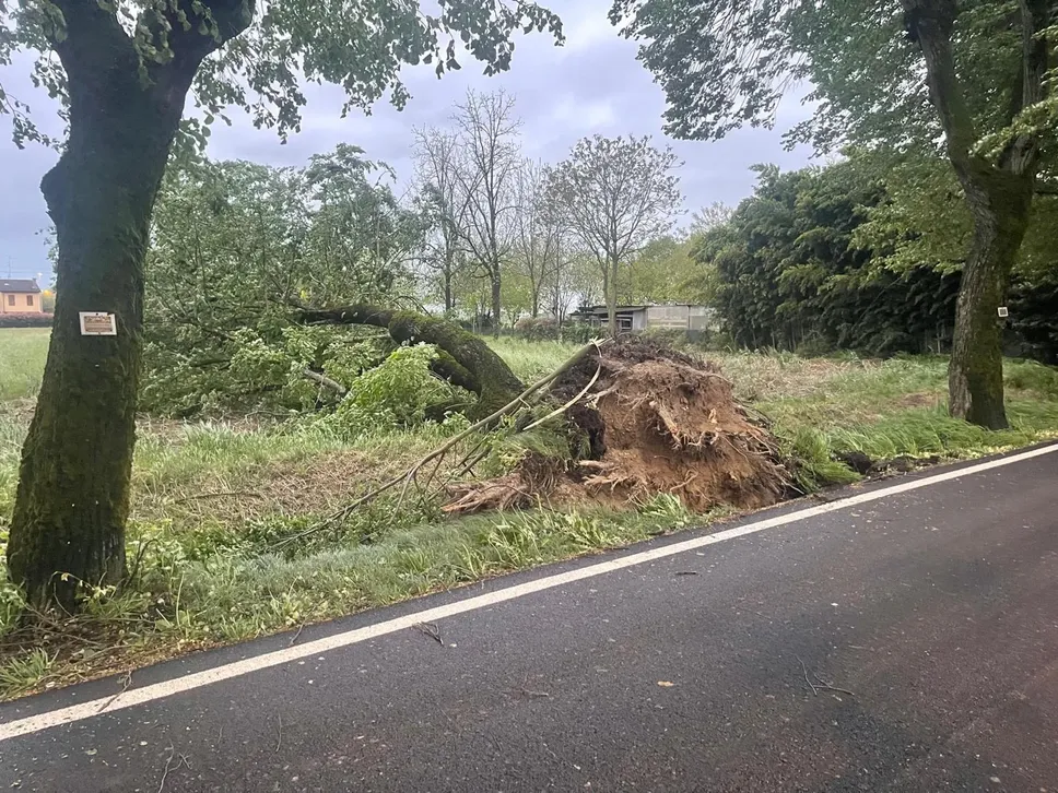 Viale dei caduti vicino al cimitero