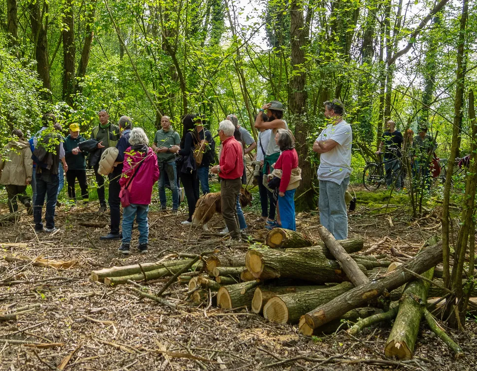 La marcia silenziosa alla Foresta di Pianura il 12 aprile