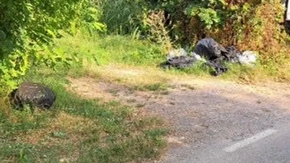 I rifiuti abbandonati in strada Vecchia Cremonese I rifiuti abbandonati in strada Vecchia Cremonese