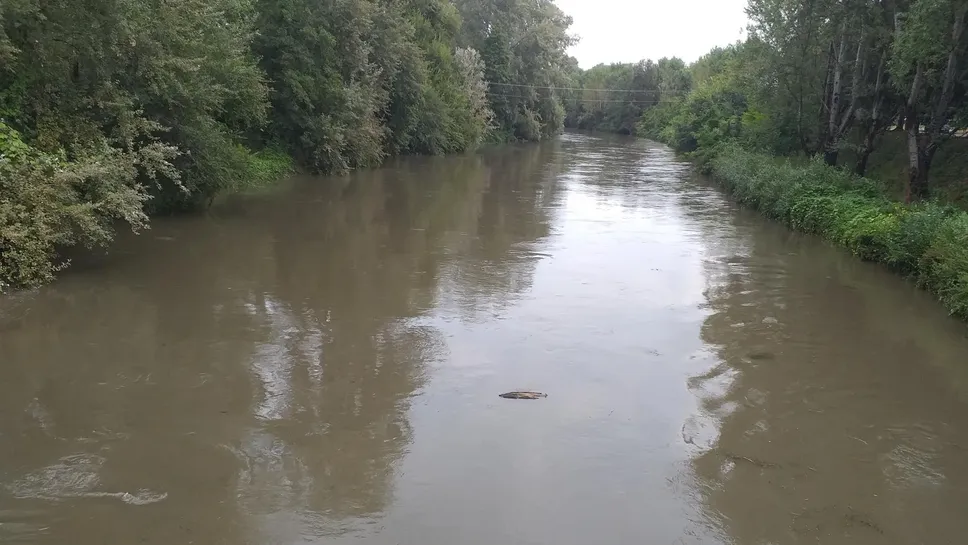 Il Lambro stamattina a Melegnano (Cornalba)