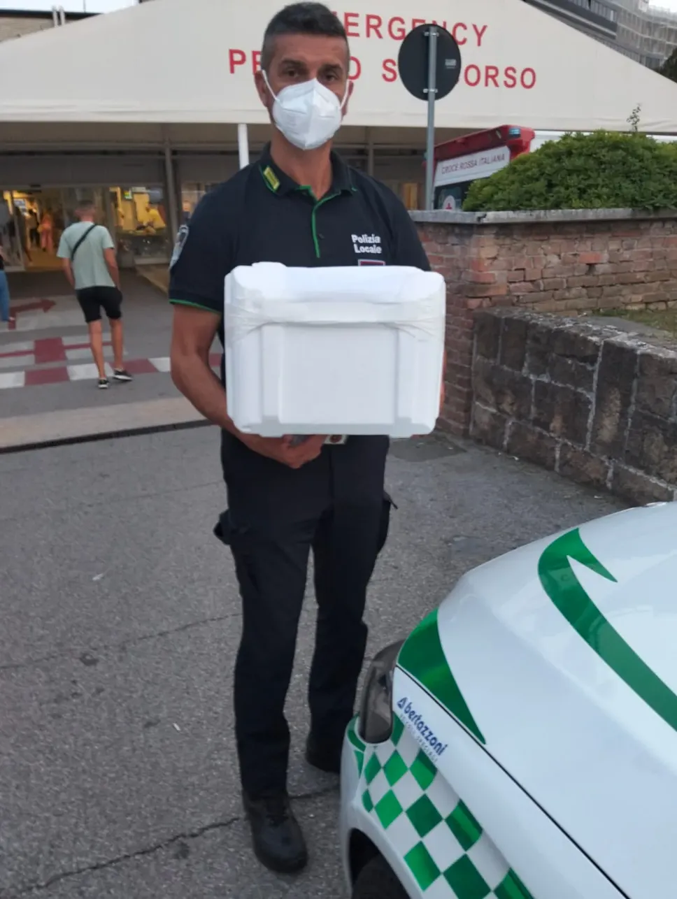 L’agente della polizia locale di Peschiera al suo arrivo a Padova con l’organo espiantato