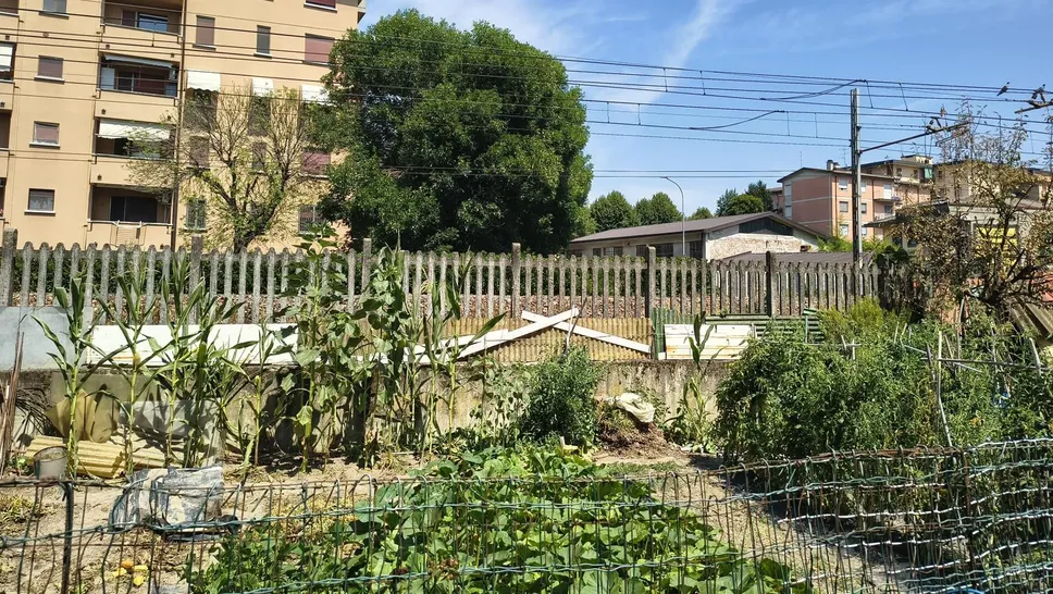 Gli orti di via Piermarini, per i quali è stato disposto lo sgombero, dando il via alla protesta dei cittadini Gli orti di via Piermarini, per i quali è stato disposto lo sgombero, dando il via alla protesta dei cittadini