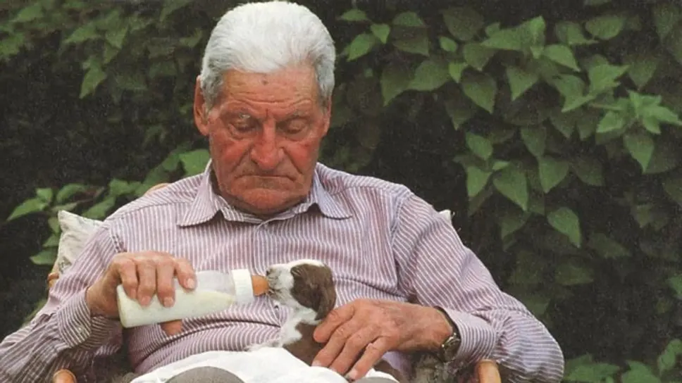 Il cavalier Paolo Ciceri, papà del bracco italiano (archivio) Il cavalier Paolo Ciceri, papà del bracco italiano (archivio)