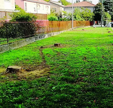 Immagine per 0a15d714-916c-11f0-8b0a-0ff01beb2ec8