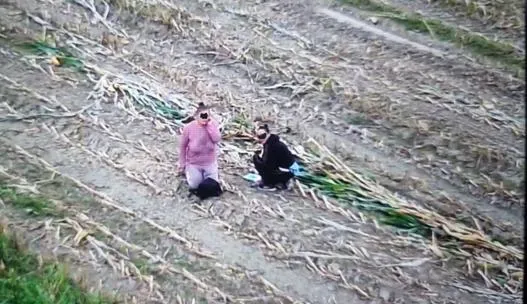 Le due donne fotografate dal drone nel campo accanto al Centro Raccolta Rifiuti Le due donne fotografate dal drone nel campo accanto al Centro Raccolta Rifiuti