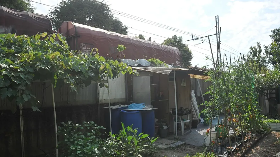 Via Piermarini: gli orti “fai da te” si sviluppano lunga la linea ferroviaria Via Piermarini: gli orti “fai da te” si sviluppano lunga la linea ferroviaria