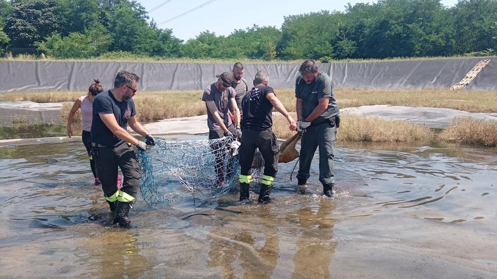 Un recupero in un bacino irriguo