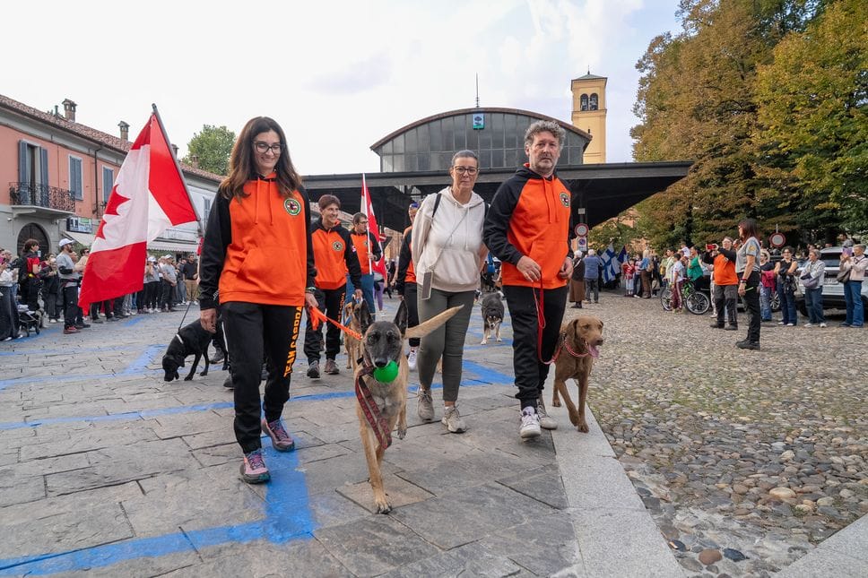 In arrivo da tutto il mondo, cani da soccorso in vetrina 