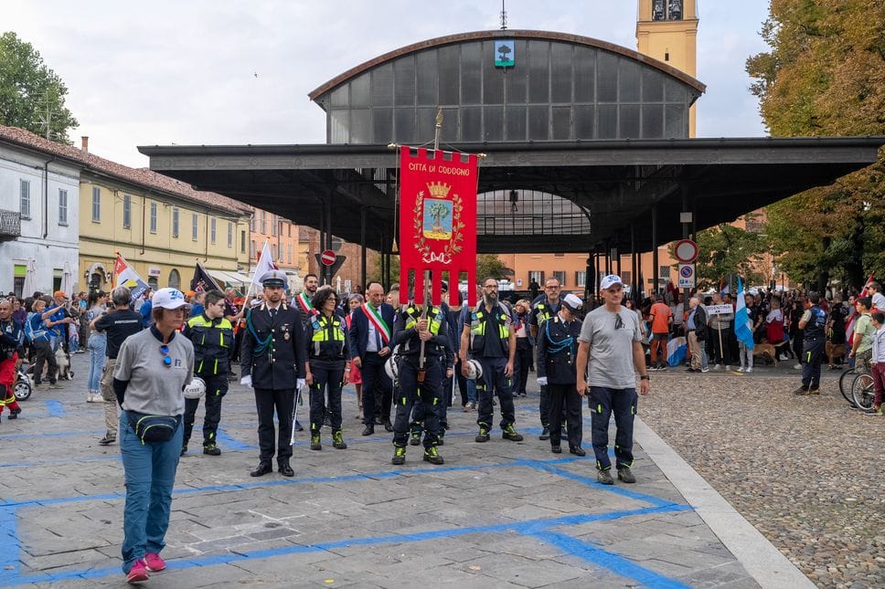 In arrivo da tutto il mondo, cani da soccorso in vetrina 
