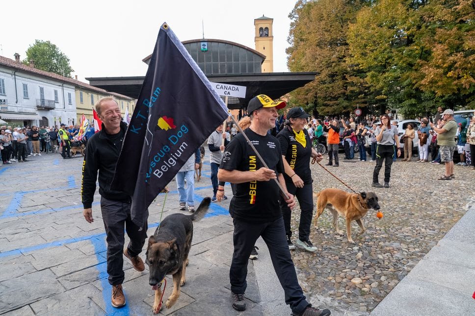 In arrivo da tutto il mondo, cani da soccorso in vetrina 