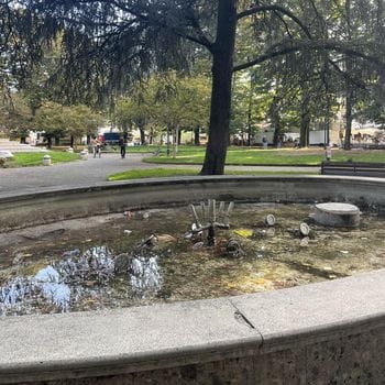 A Codogno la fontana dei Caduti è prigioniera della burocrazia