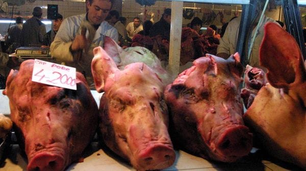 «La carne di suino via dalle scuole: una volontà pseudo inclusiva»