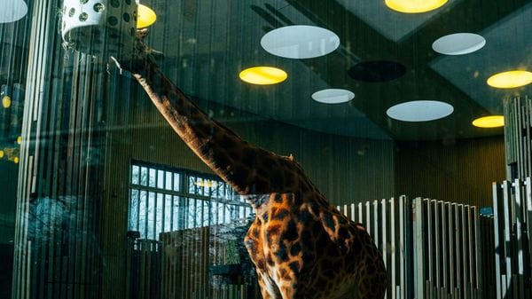 Il mondo torna a Lodi per il quarto finesettimana del festival della Fotografia etica