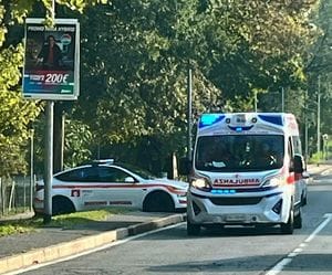 Cade dall’albero all’Isola Carolina, paura al parco per una bambina