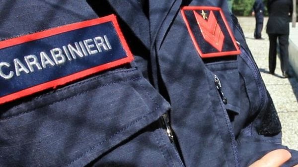 Capriolo investito sulla provinciale 126