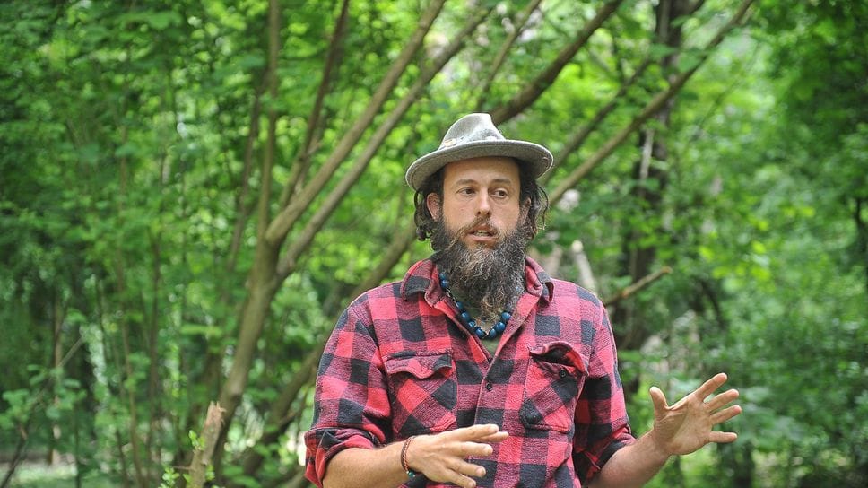 LODI «Non basta piantare alberi, salviamo quelli che esistono»