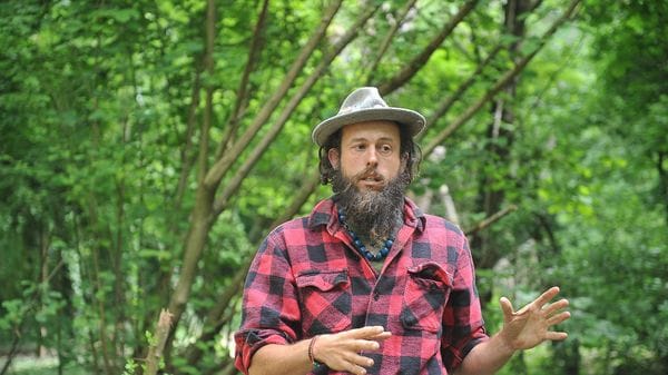 LODI «Non basta piantare alberi, salviamo quelli che esistono»