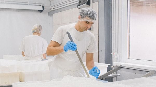 Luci e ombre per l’agricoltura del Lodigiano