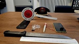 Tavazzano - Fugge all’alt della Polizia locale, poi si schianta contro un camion e scappa nei campi 