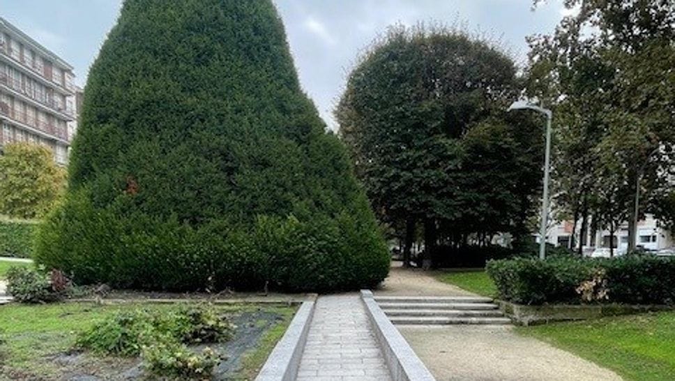 LA SITUAZIONE DEL PASSEGGIO «È ormai impossibile ignorare il degrado dei Giardini» 
