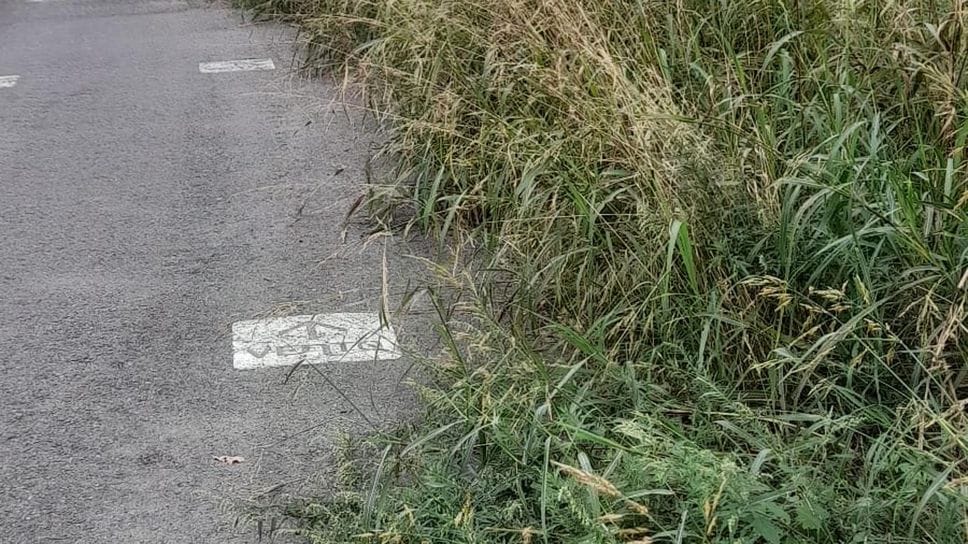 Ciclopedonale VenTo: degrado e richieste di cura