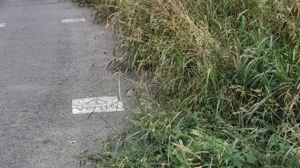 Ciclopedonale VenTo: degrado e richieste di cura
