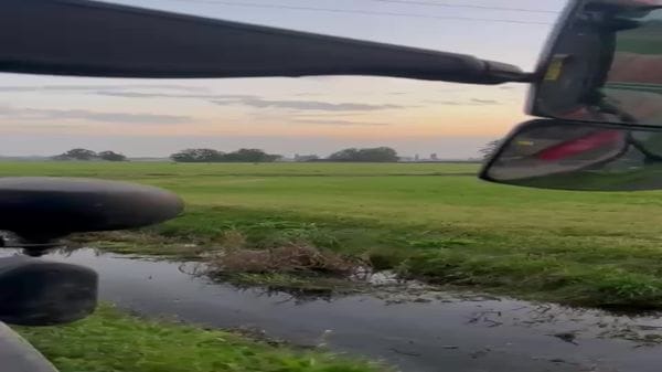Un branco di lupi nelle campagne di Abbadia Cerreto 