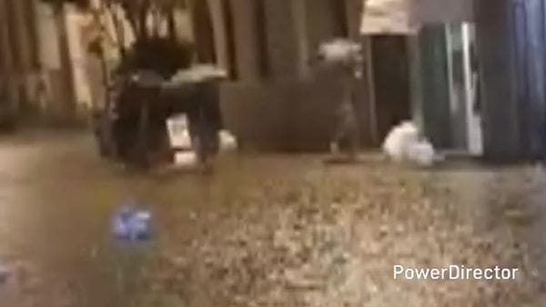 Allagamenti e cedimenti per la pioggia, il bilancio. Due gravi incidenti a Zelo e San Rocco al Porto. Le altre notizie del giorno