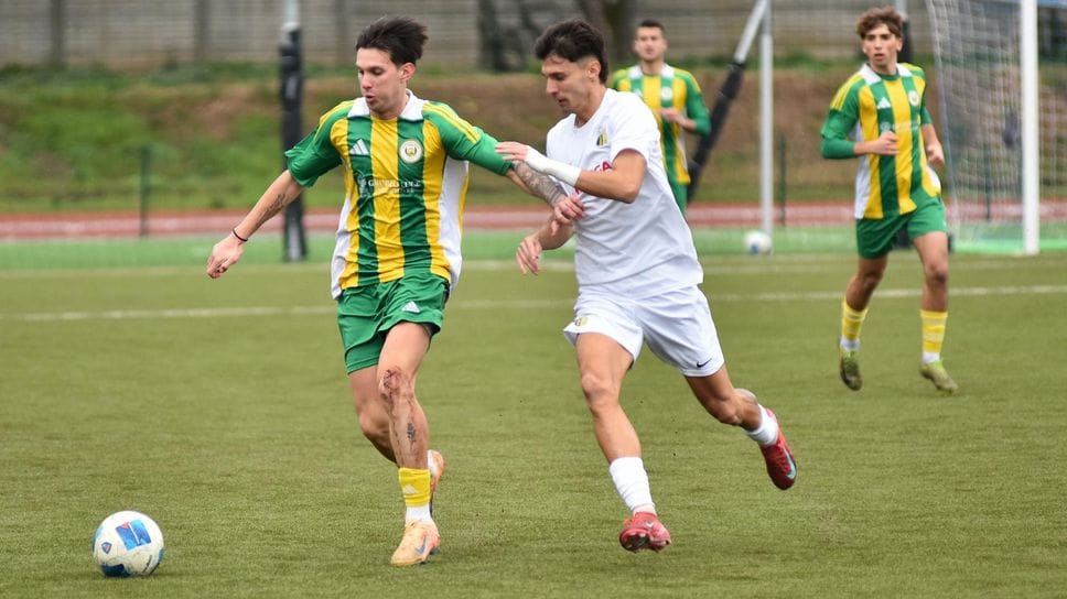 Saggionetto in azione