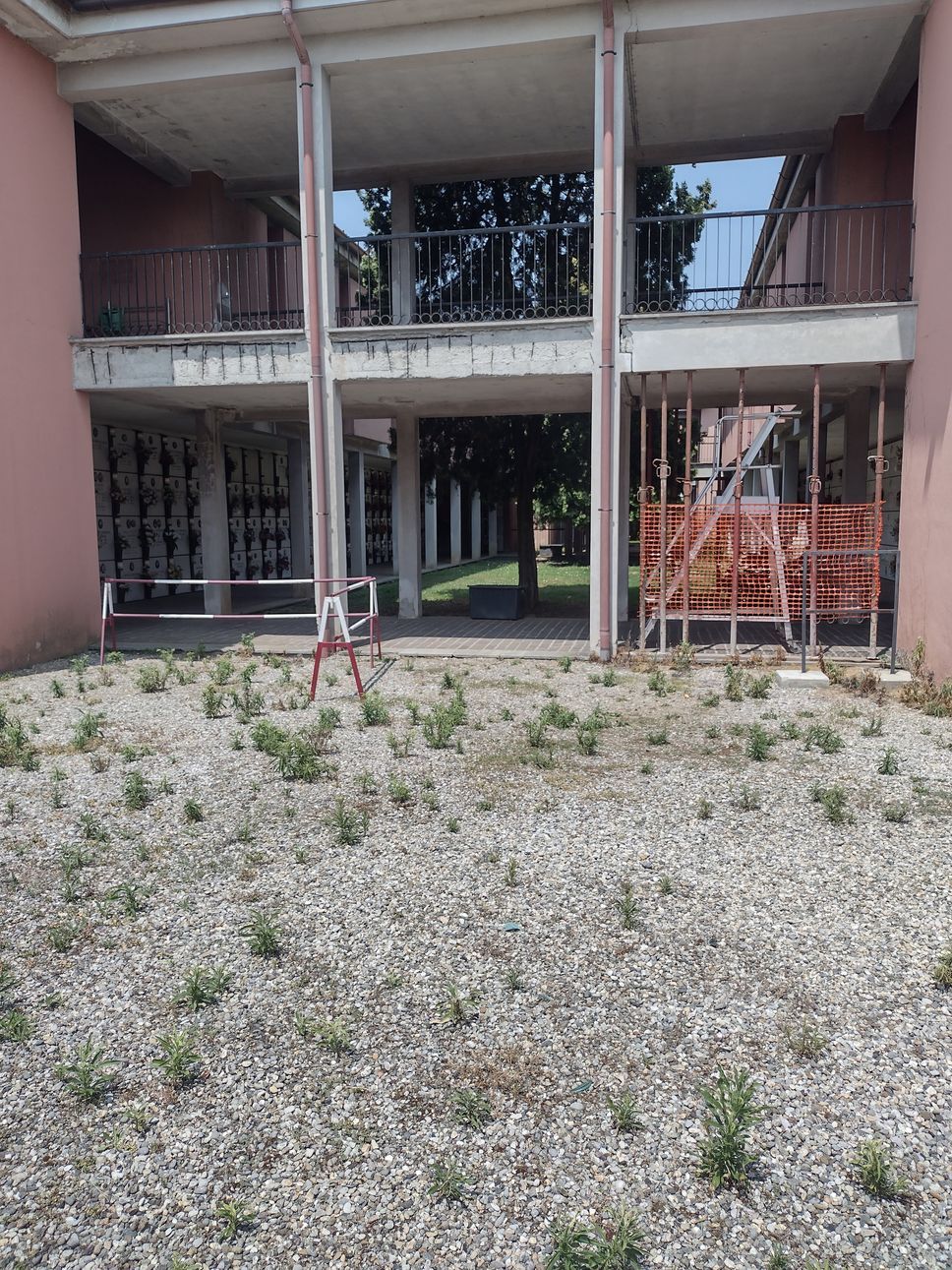 I ladri hanno aperto un bara nel piano superiore del cimitero di San Bernardo