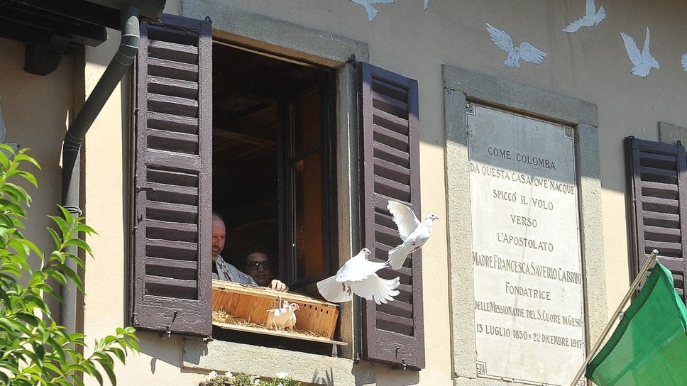 Il volo delle colombe di metà luglio