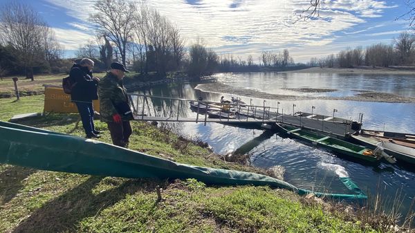 L’immissione ieri di pesci nel fiume Adda