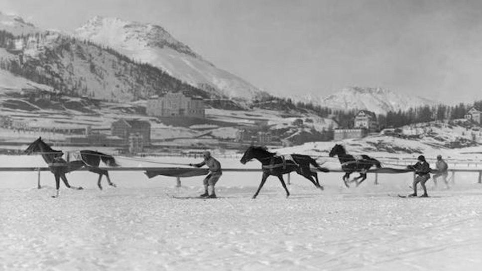 Lo skijoring