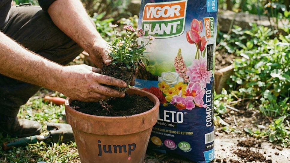 Un’immagine creativa che sigla l’incarico