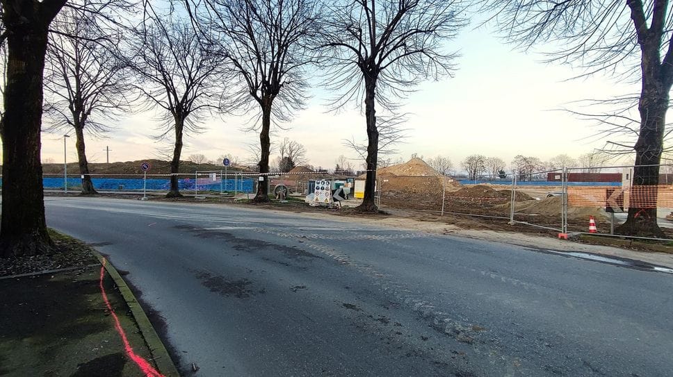 Destino segnato per le piante di  via Mazzarello (Cuti)I