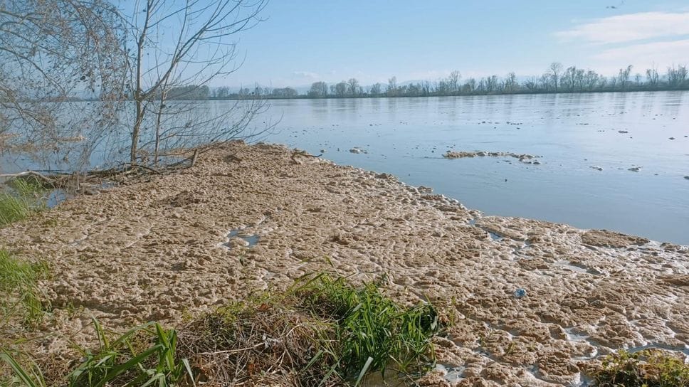 Un’isola di schiuma sul Po a Corte Sant’Andrea