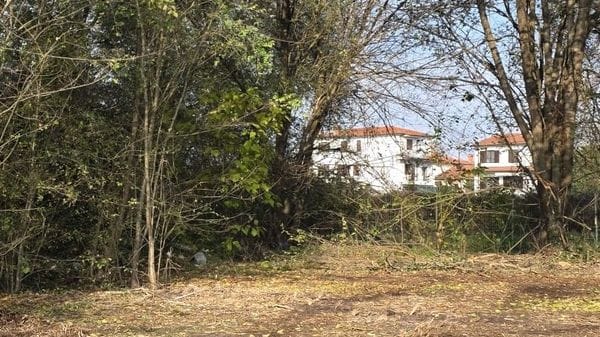 «Una palestra all’aperto e l’area cani»