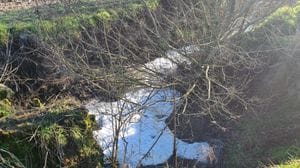 Colturano: roggia avvelenata dagli scarichi, intervengono Arpa, Wwf e Parco