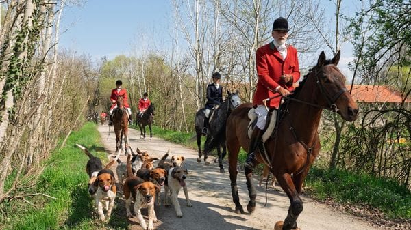 Caccia alla volpe con cavalli e segugi: atmosfere inglesi al parco del Boscone