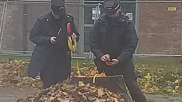 Officina di autoriparazioni e impianti di recupero bancali sequestrati alle porte di Lodi, recuperato anche un cane sofferente